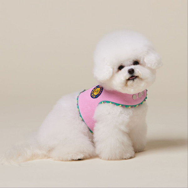 Color Carnival Collection Pet Vest