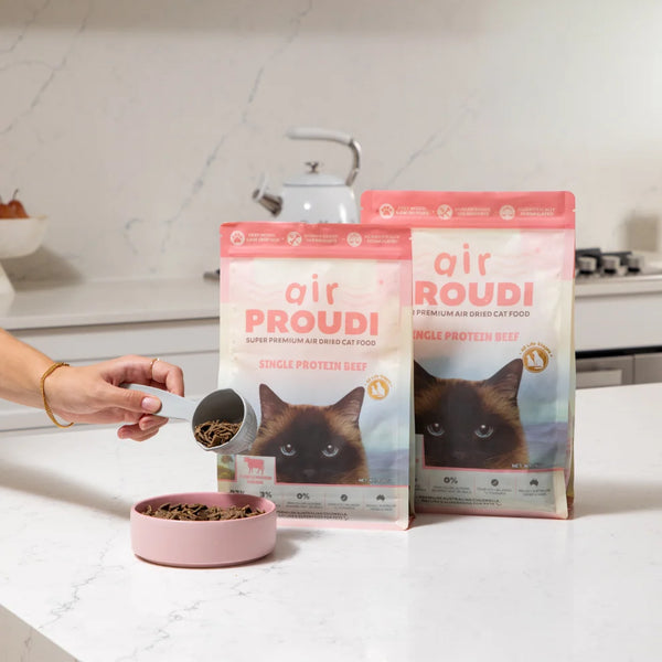 Proudi Single Protein Beef Air Dried for Cats