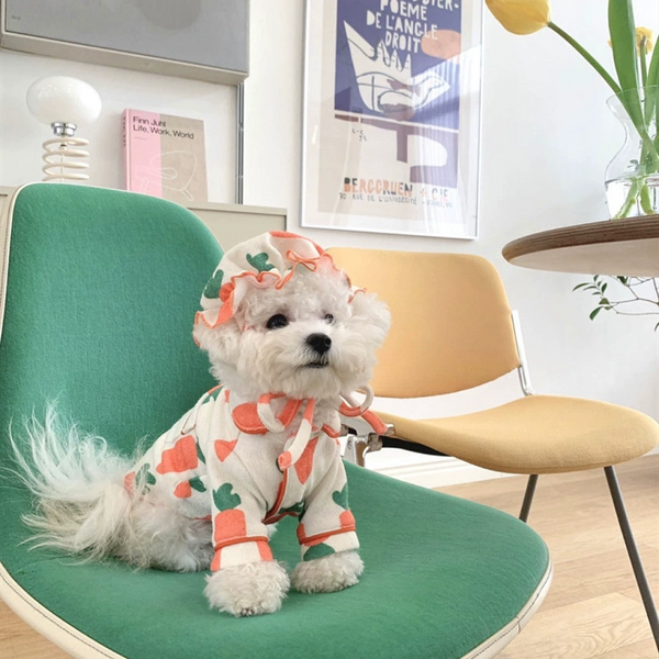 Creamy Citrus Pet Romper with Hat