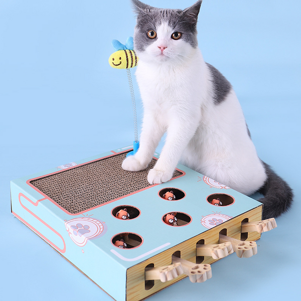 cat 3 in 1 playing scratcher