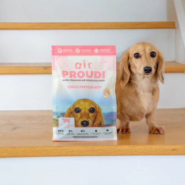Proudi Single Protein Beef Air Dried for Dogs