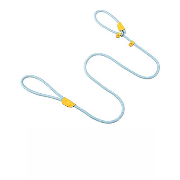 Integrated Collar and Leash-Blue 1.5M