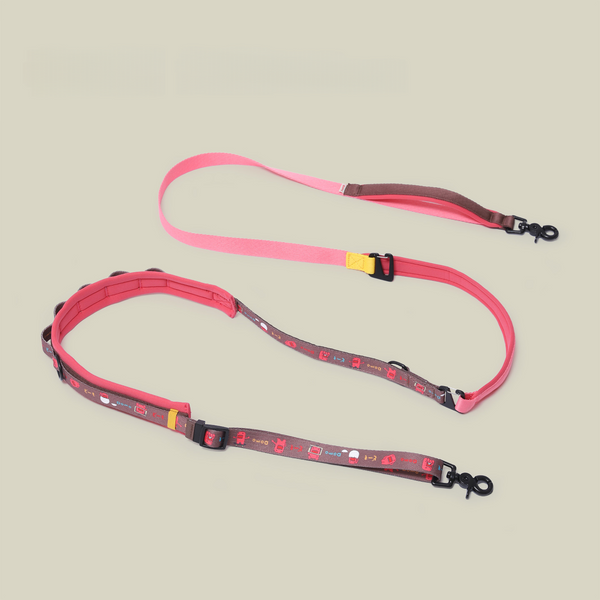 Multi-Functional Pet Leash, Heavy Duty Adjustable Leash