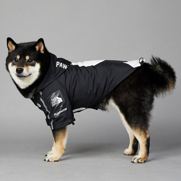 Black Rain Jacket