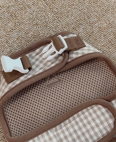 Brown plaid bear suit