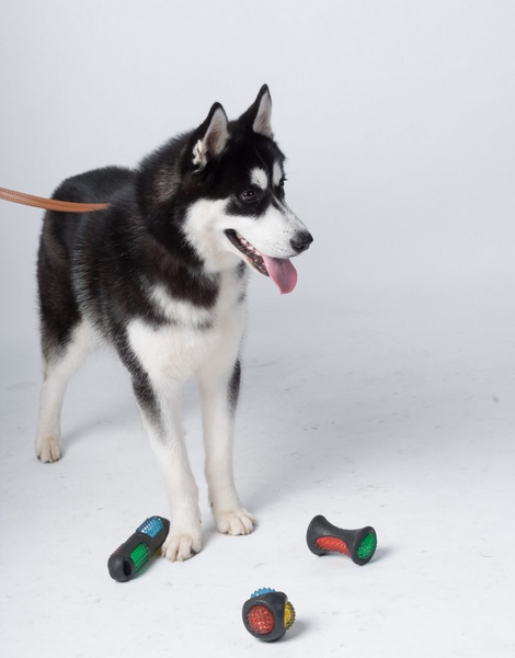 Throw &amp; Flash Bone, ROSEWOOD