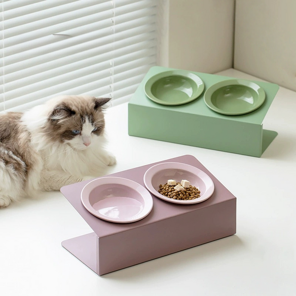 Tilted Raised Cat Feeding Bowl Set