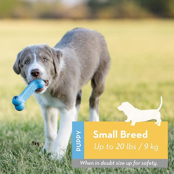 Puppy Goodie Bone Small, KONG - Blue