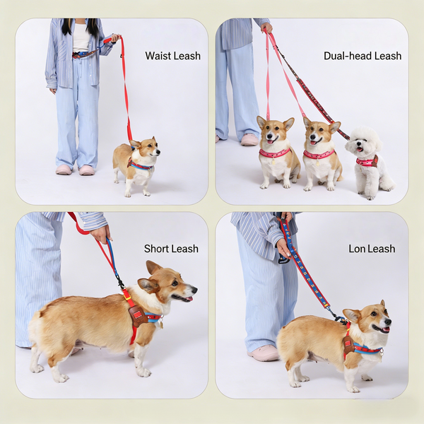 Multi-Functional Pet Leash, Heavy Duty Adjustable Leash