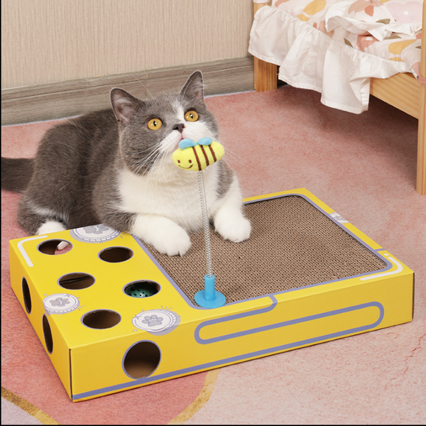 Cat 2 in 1 playing scratcher