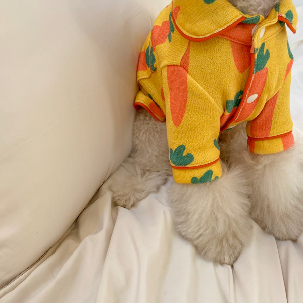 Citrus Sunshine Pet Jumpsuit with Hat