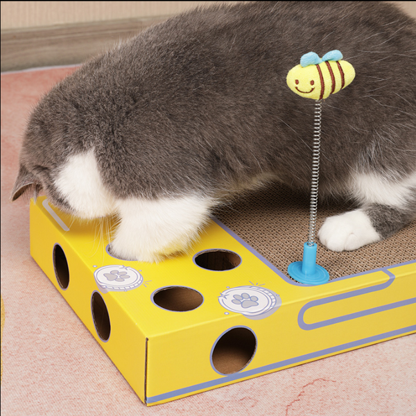 Cat 2 in 1 playing scratcher
