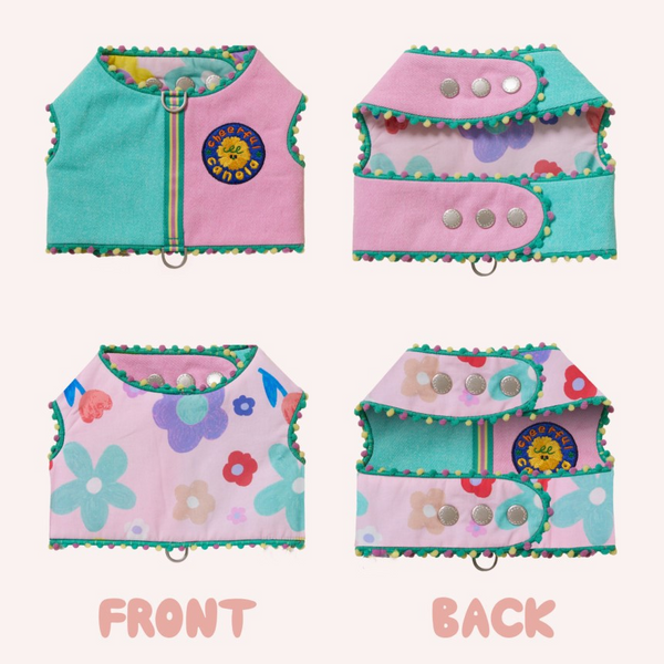 Color Carnival Collection Pet Vest