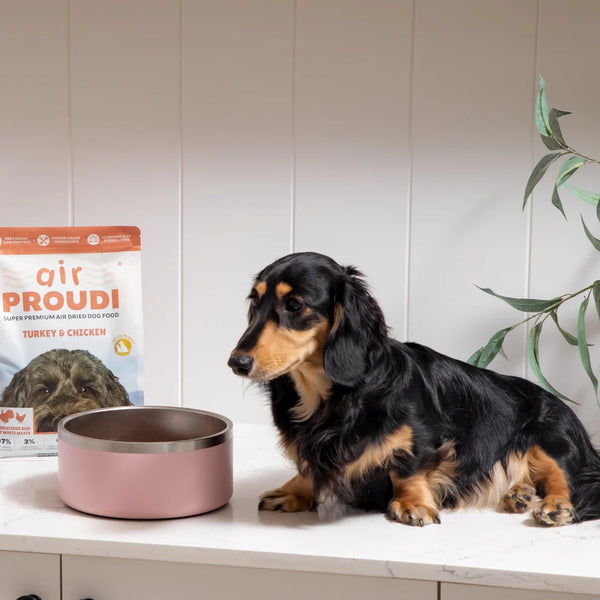 Proudi Turkey & Chicken Air Dried for Dogs