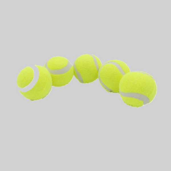 psiDog Toy (19)-20250318053207.png
