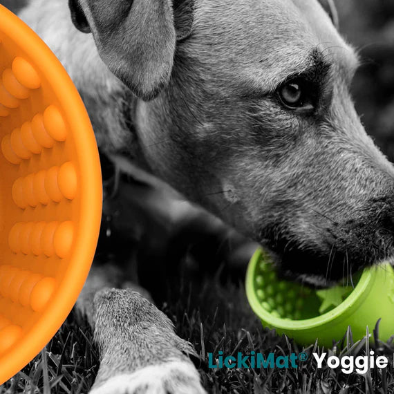 LICKIMAT Yoggie pot Green