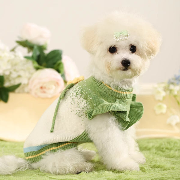 Cute Winter Dog Sweater – Warm Autumn/Winter Clothes for Small Dogs, Pomeranian, Teddy & Bichon