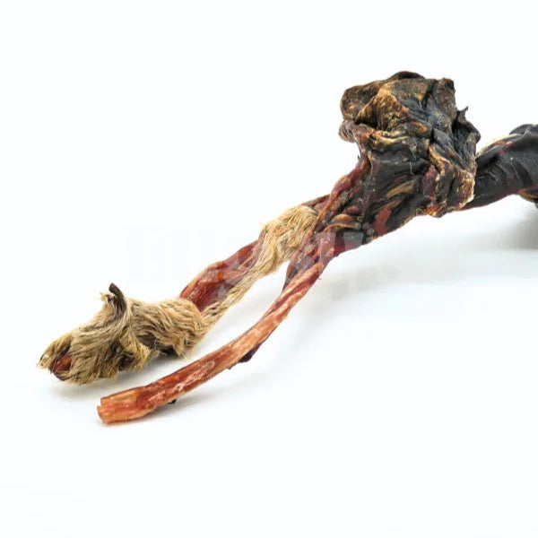 Bugsy's KANGAROO TENDON Snack for Dogs