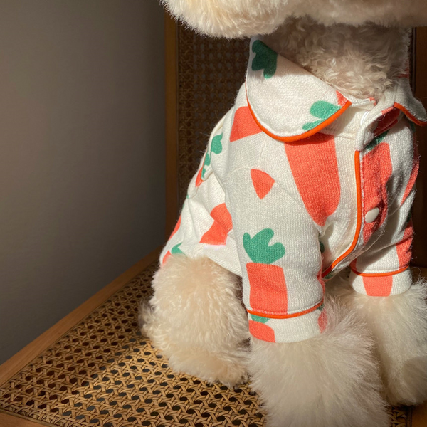 Creamy Citrus Pet Romper with Hat