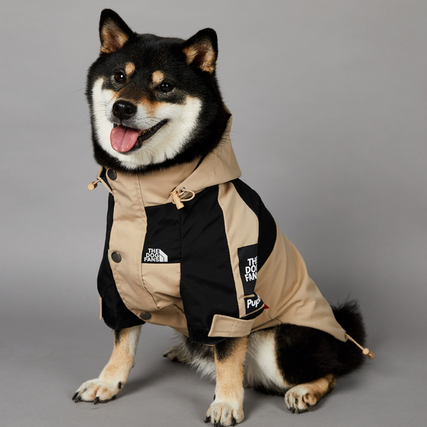 Urban Explorer Dog Jacket