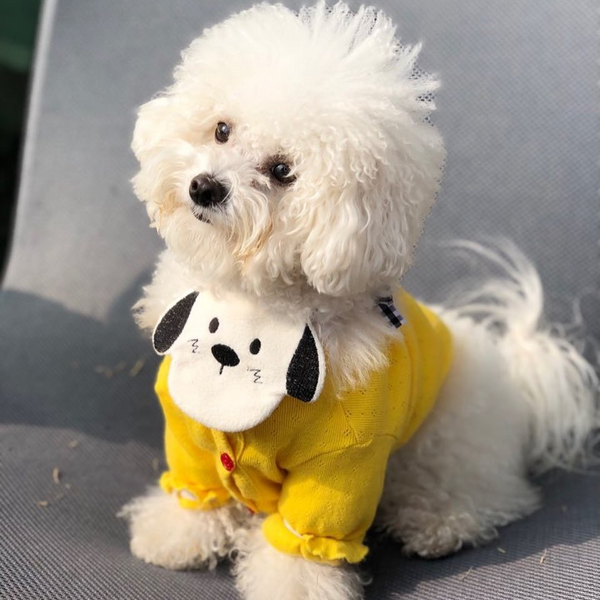 Cartoon Bib