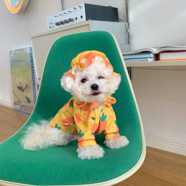Citrus Sunshine Pet Jumpsuit with Hat