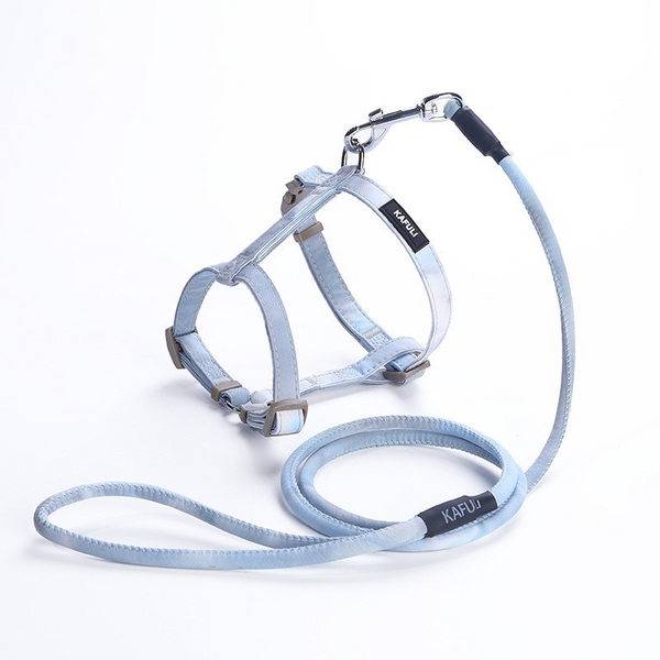 Cat Harness and Leash Set-blue