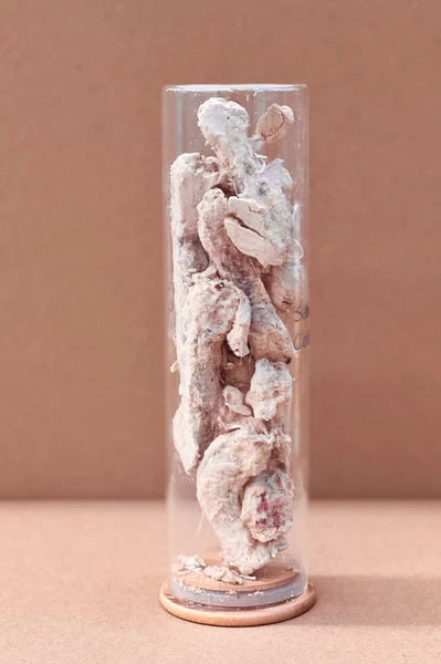 Freeze-Dried Salmon Coated Chicken Neck Raw Treats 100G,FREEZY PAWS