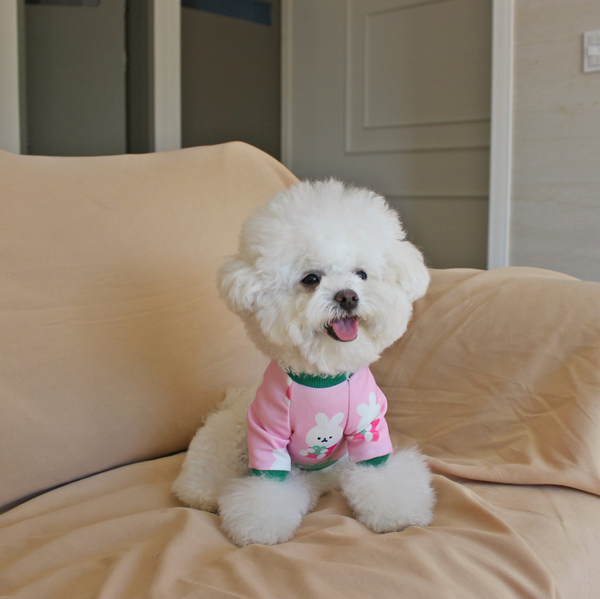Pink Rabbit Shirt