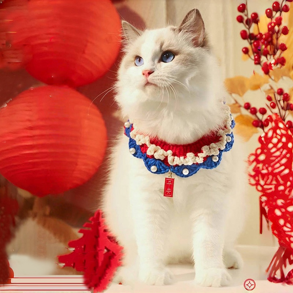 Cat Neck Jewelry & Knitted Scarf Accessory