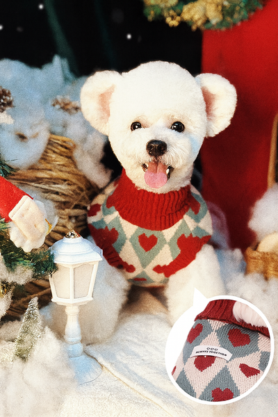 Christmas Pet Sweater – Thick Warm Winter Sweater for Small Dogs, Holiday Outfit-Blue