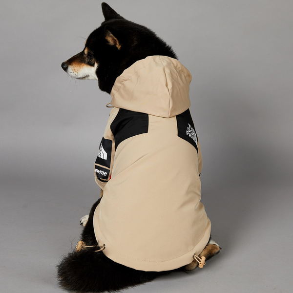 Urban Explorer Dog Jacket