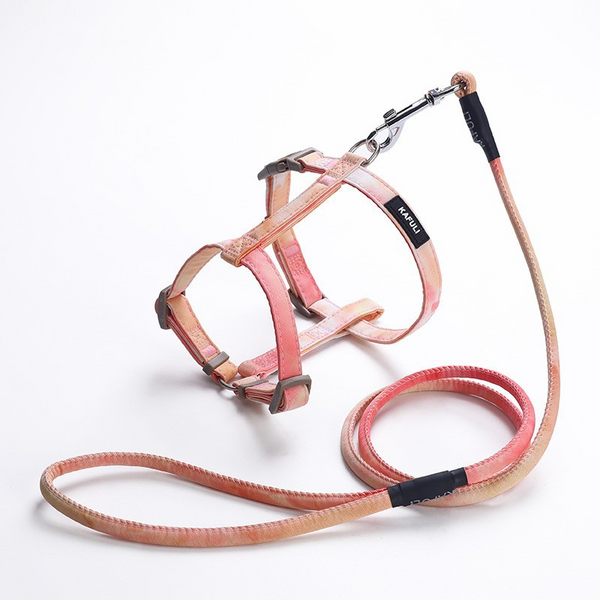 Cat Harness and Leash Set-orange
