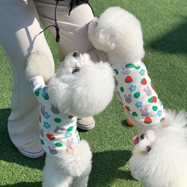Bunny and strawberry pet shirt
