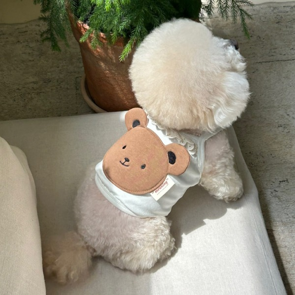 psiimage-20250319061705.png